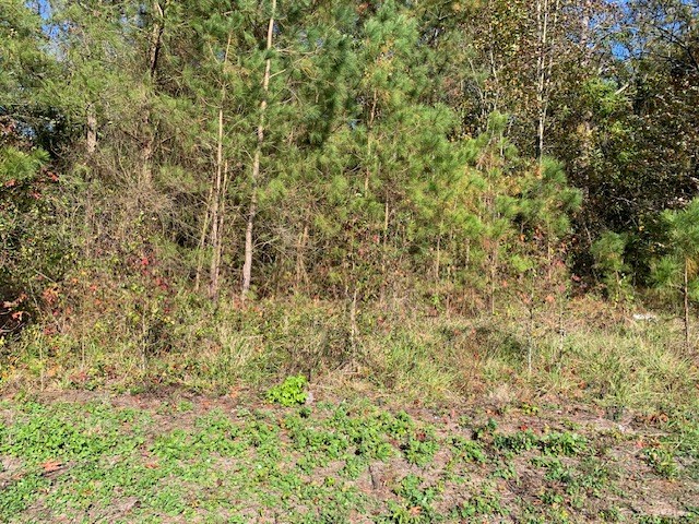 0 Nelsonia Road, Unit 29 Bloxom, VA 23308 - Photo 2 of 2