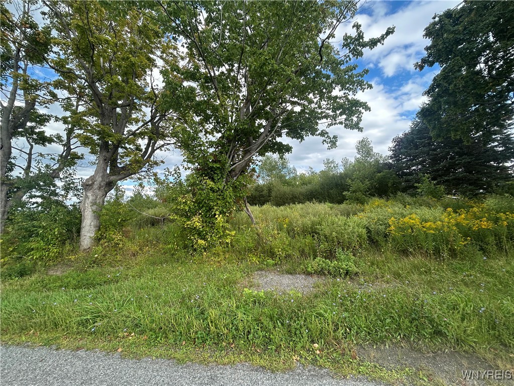 7507 Greenbush Road Newstead, NY 14001 - Photo 8 of 9