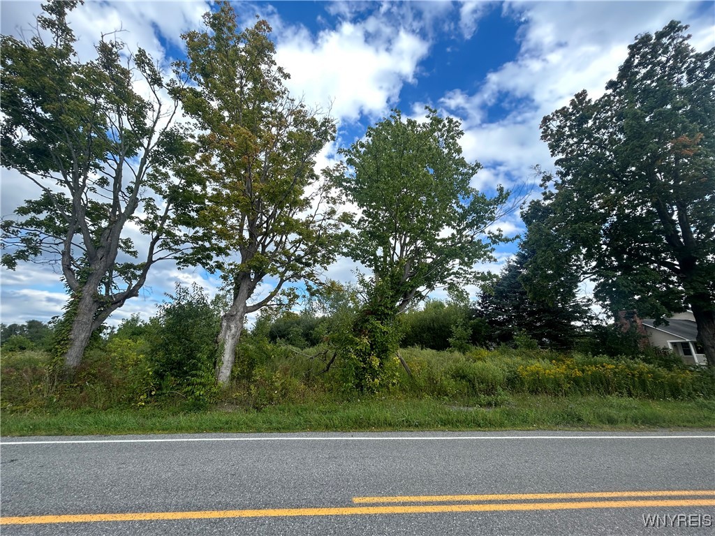 7507 Greenbush Road Newstead, NY 14001 - Photo 9 of 9