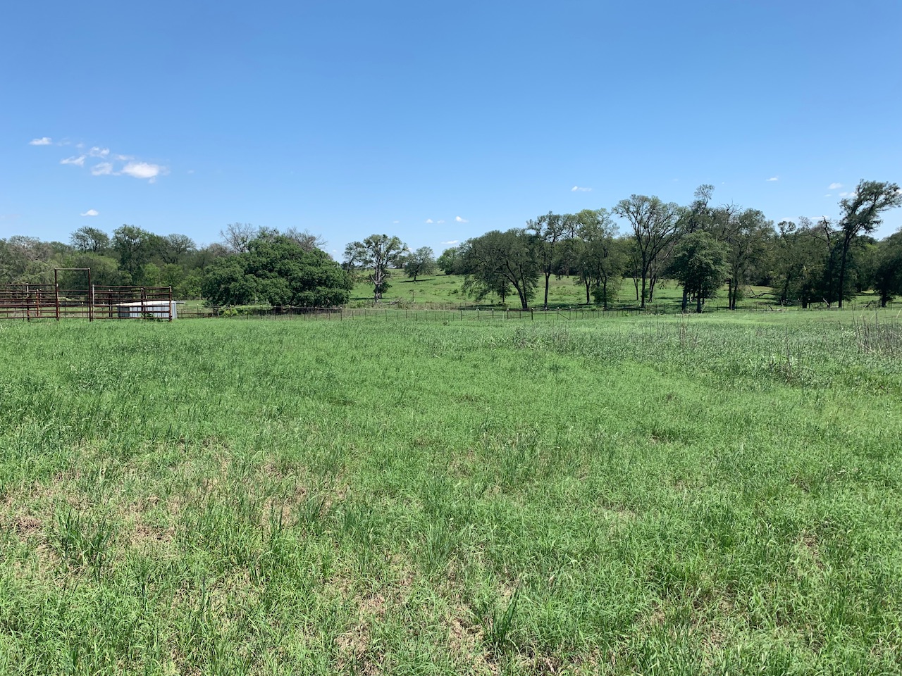 133 Clearfork Road Lockhart, TX 78644 - Photo 2 of 19 a view of an outdoor space and a yard