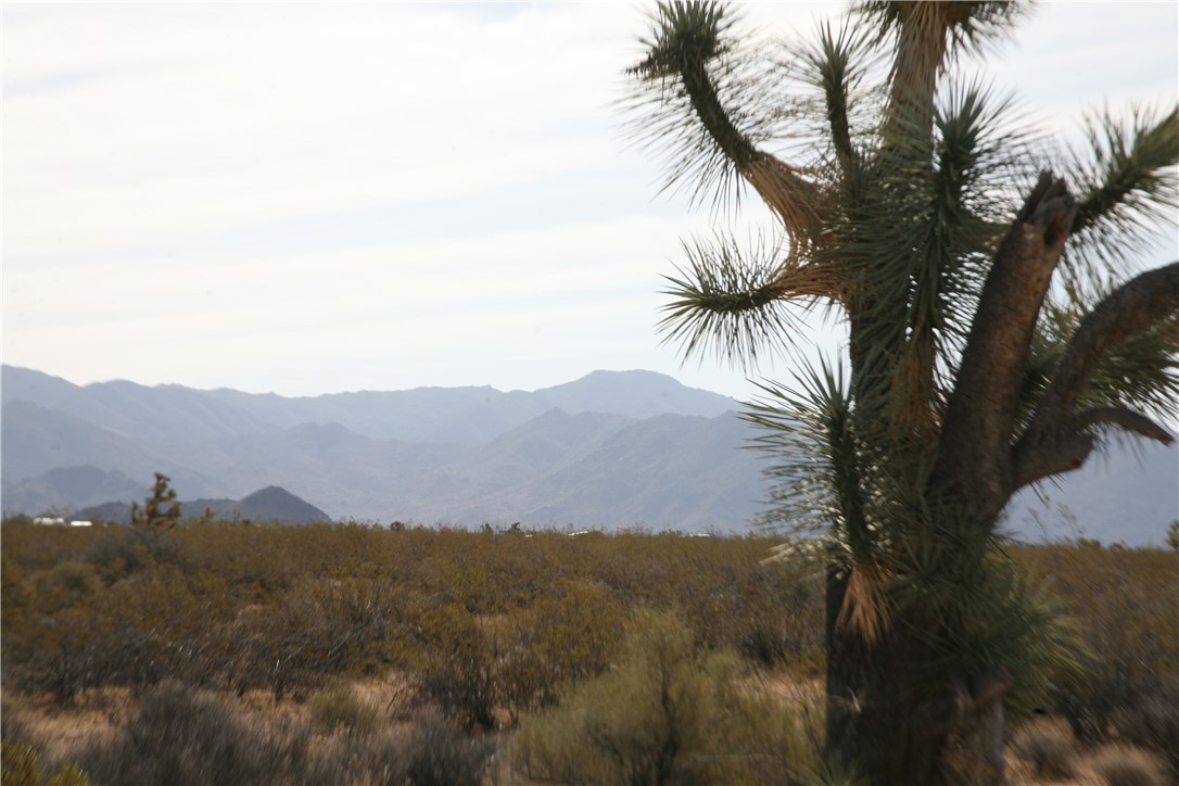 245-18-266 Alan Road Yucca, AZ 86438 - Photo 7 of 54