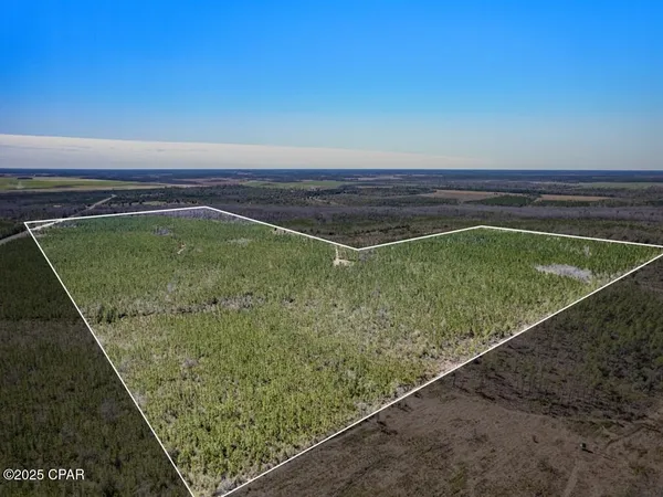 $1,176,000 | 0 South Sr 71, Wewahitchka, FL 32449