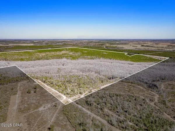 $1,176,000 | 0 South Sr 71, Wewahitchka, FL 32449