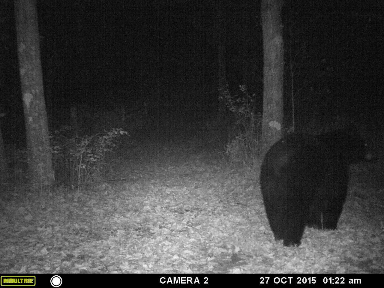 20517 13 Mile Road Copemish, MI 49625 - Photo 40 of 63 1809510-39.JPG