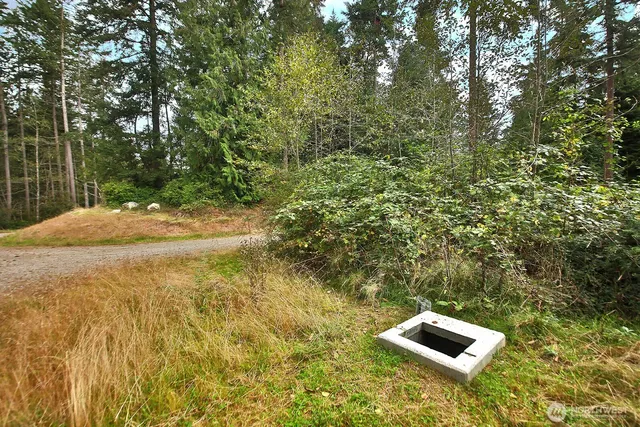 a view of a pathway with a yard