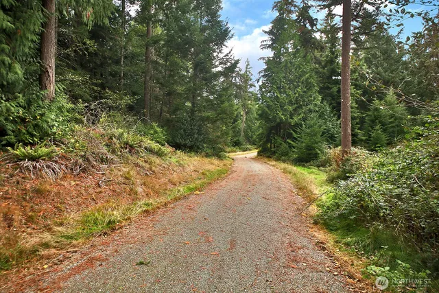 a view of a dirt pathway both side of yard