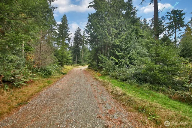 a view of a field with trees in the background