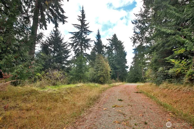 a view of a yard with a tree