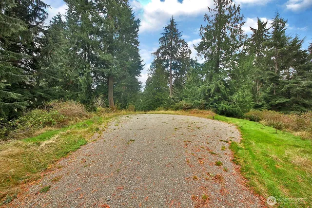 a view of outdoor space and yard