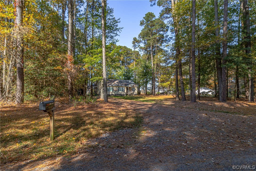 79 Lucom Point Drive Reedville, VA 22539 - Photo 12 of 32 a view of a yard with a tree
