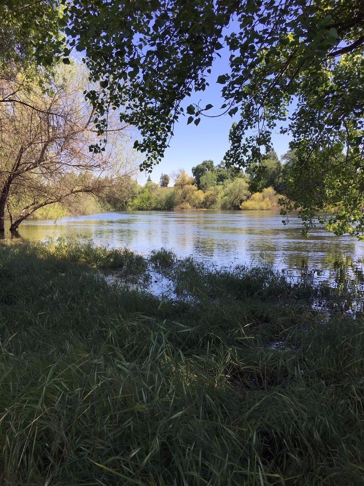 8776 South Kings River Road Reedley, CA 93654 - Photo 12 of 13 Gallery Image 12