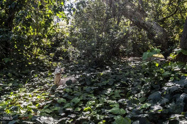 $1,250,000 | 1520 Carroll Drive, Altadena, CA 91001