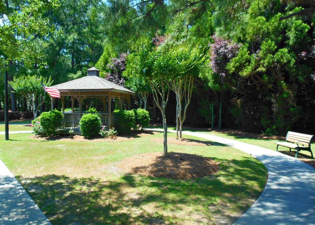 8640 Orchard Loop Road Leland, NC 28451 - Photo 17 of 17 park (2)