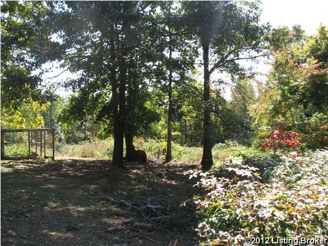 1345 Maxey Knob Road Canmer, KY 42722 - Photo 4 of 18 Additional Photo