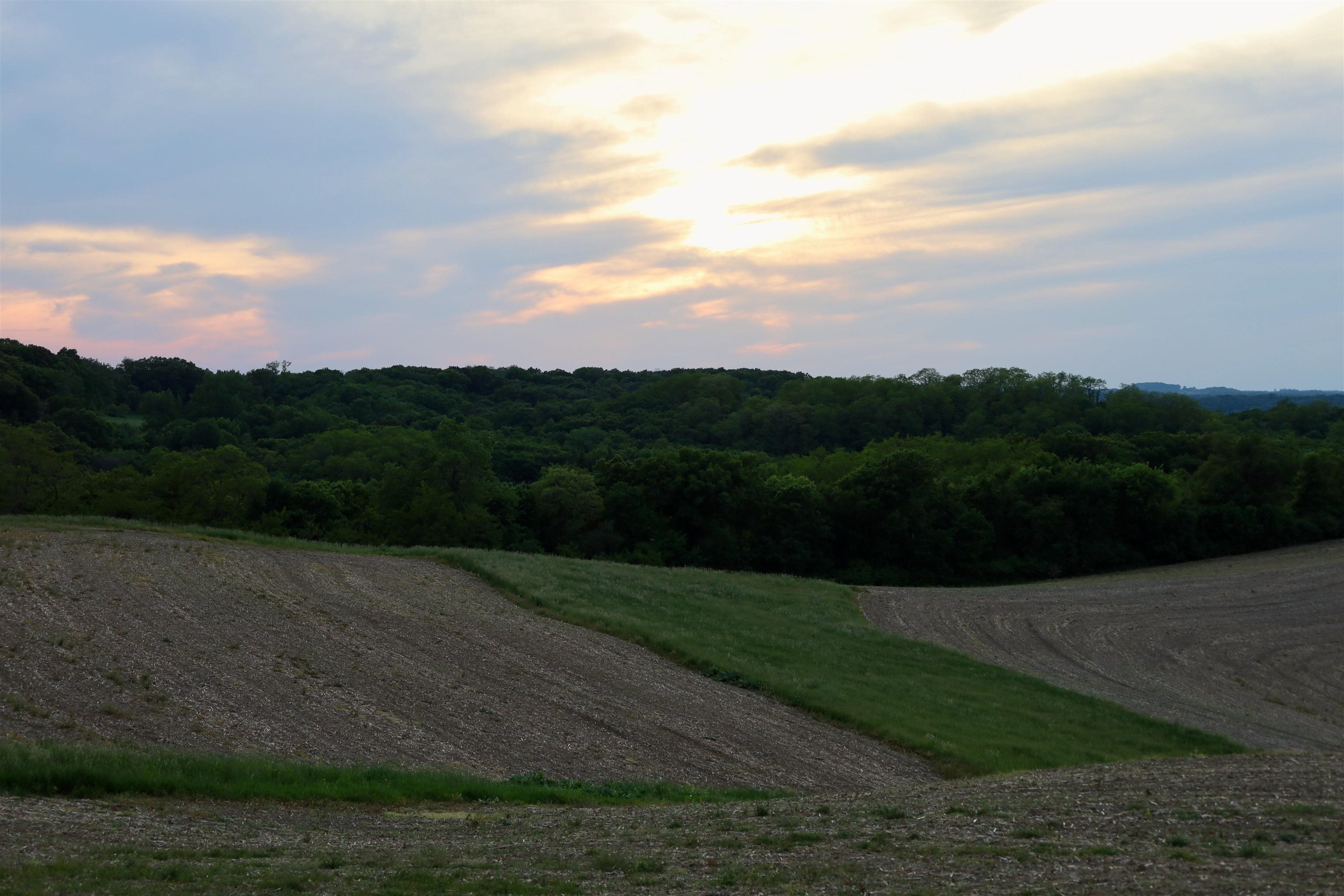 0 County M Boscobel, WI 53805 - Photo 28 of 32