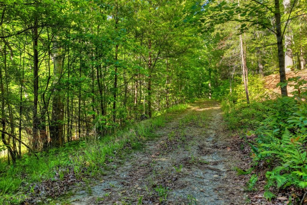 8.52 Ac Mcnelley Road Morganton, GA 30560 - Photo 11 of 47