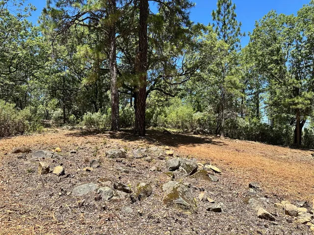 $300,000 | 16677 Winchester Club Drive, Meadow Vista, CA 95722