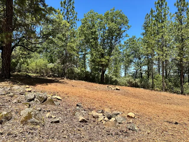 $300,000 | 16677 Winchester Club Drive, Meadow Vista, CA 95722