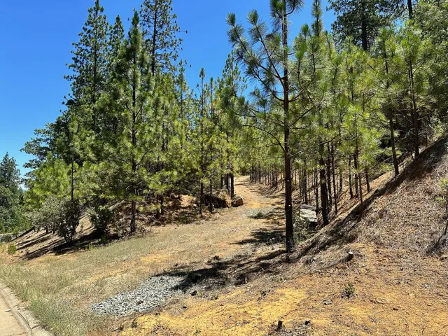 $300,000 | 16677 Winchester Club Drive, Meadow Vista, CA 95722