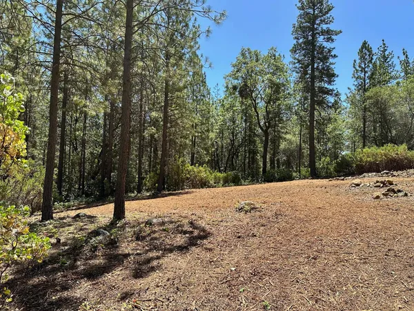$300,000 | 16677 Winchester Club Drive, Meadow Vista, CA 95722