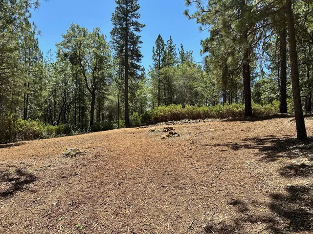 $300,000 | 16677 Winchester Club Drive, Meadow Vista, CA 95722