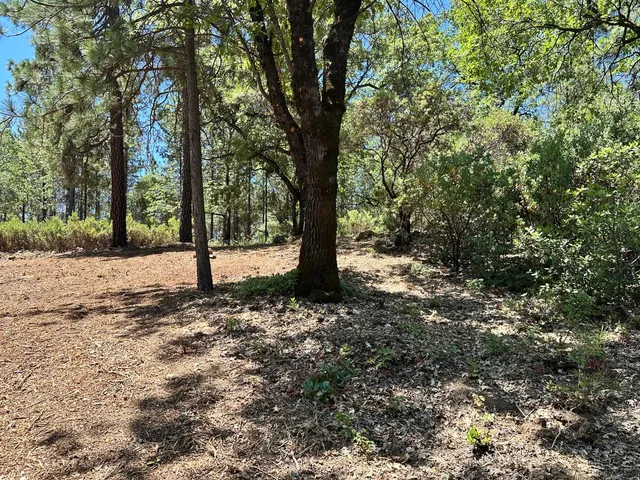 $300,000 | 16677 Winchester Club Drive, Meadow Vista, CA 95722