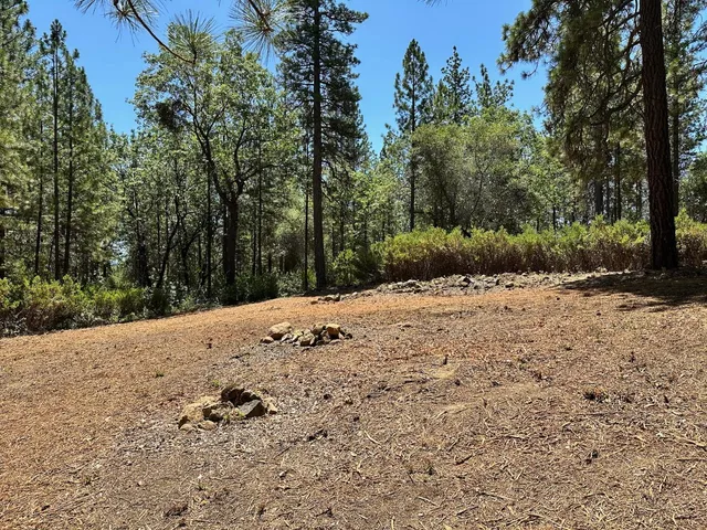 $300,000 | 16677 Winchester Club Drive, Meadow Vista, CA 95722