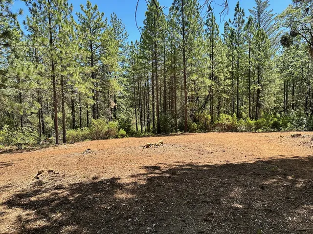 $300,000 | 16677 Winchester Club Drive, Meadow Vista, CA 95722