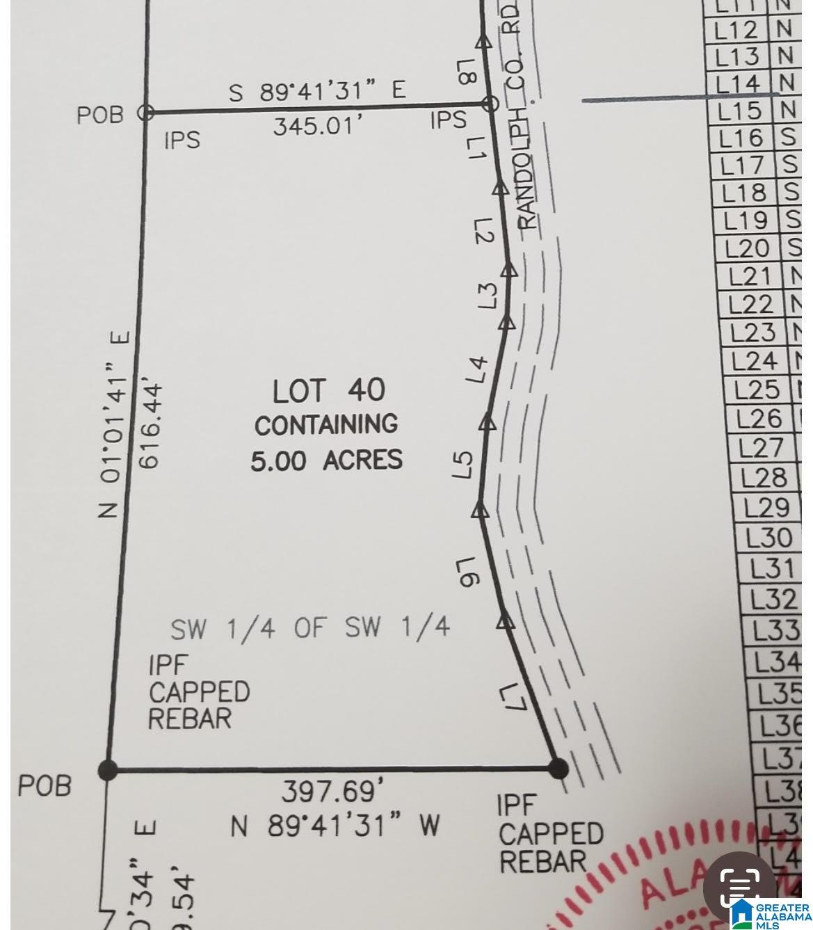 Lot40 County Road 214, Unit 40 Delta, AL 36258 - Photo 8 of 8