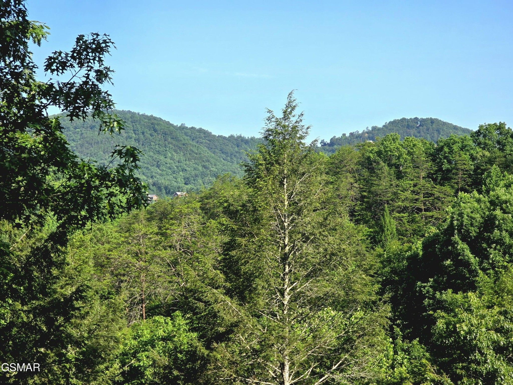 2011 Ridgecrest Loop Lane Sevierville, TN 37876 - Photo 34 of 44 Gallery Image 34