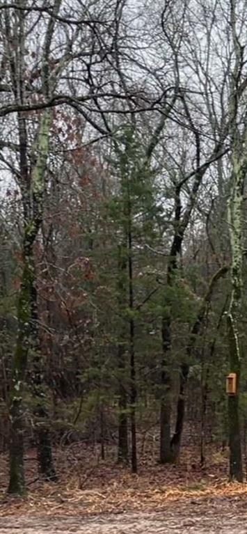 1291 Rs Cr 1150 Emory, TX 75440 - Photo 2 of 7