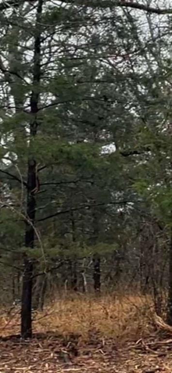 1291 Rs Cr 1150 Emory, TX 75440 - Photo 3 of 7