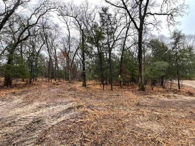 1291 Rs Cr 1150 Emory, TX 75440 - Photo 5 of 7 a view of outdoor space with trees