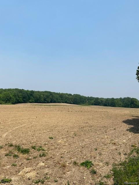 7451 Fostoria Road Mayville, MI 48744 - Photo 24 of 41