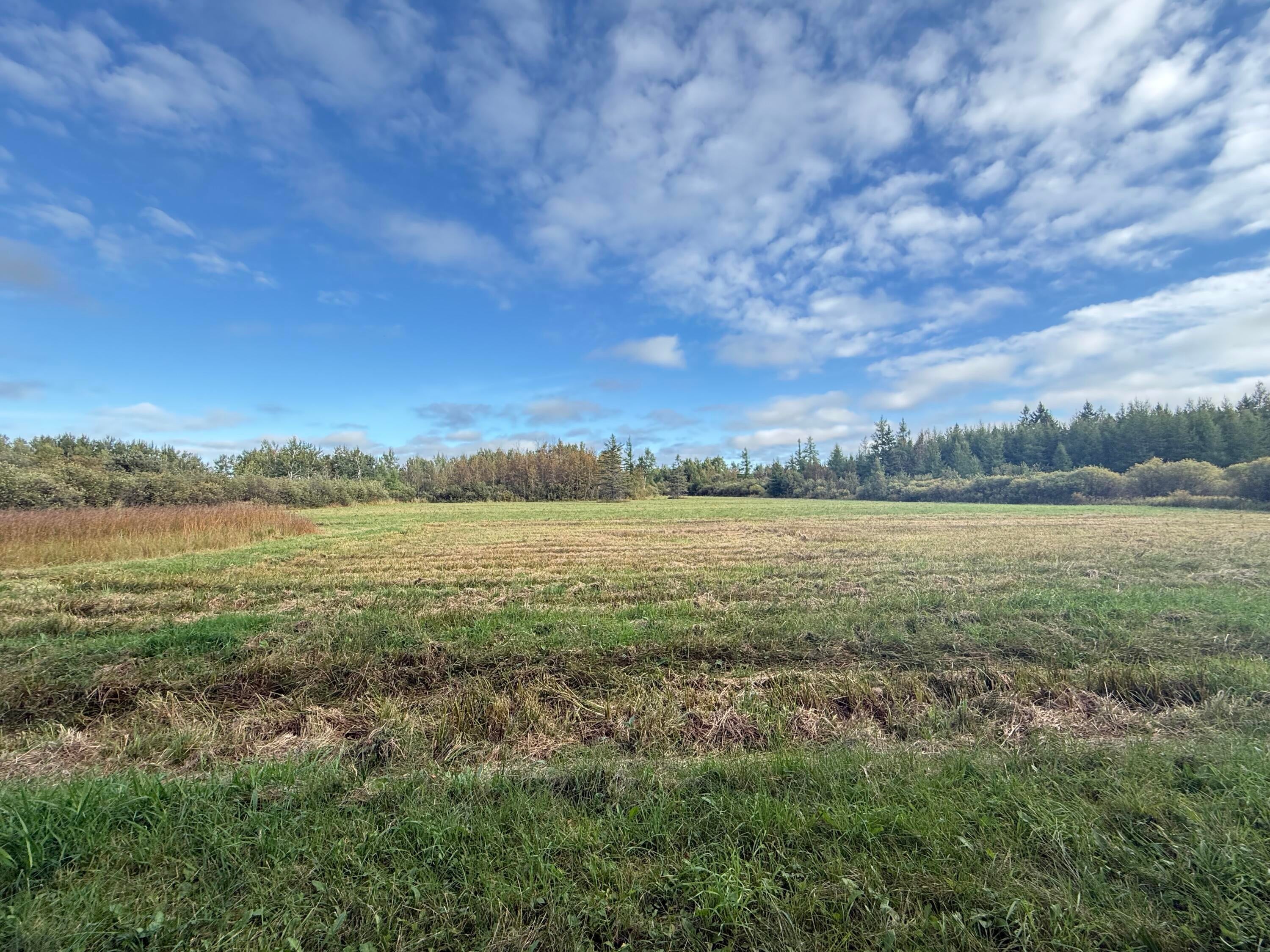 Tbd East Gogomain Road Pickford, MI 49774 - Photo 4 of 14 Gallery Image 4