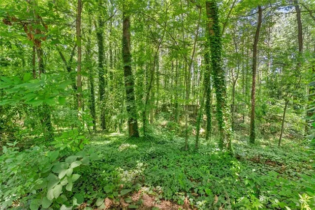 a view of yard with lush green forest
