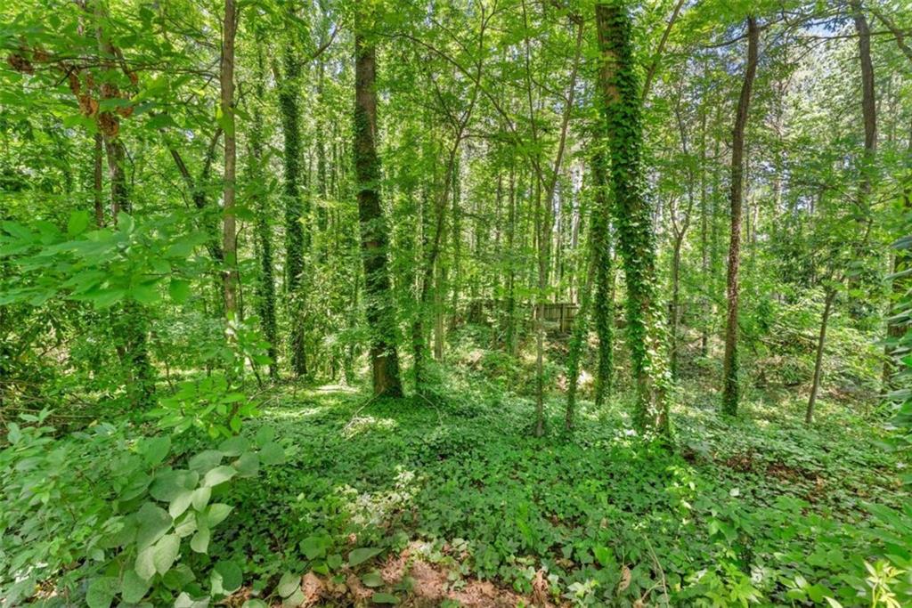 0 Hilton Southwest Drive Gainesville, GA 30501 - Photo 3 of 21 a view of yard with lush green forest