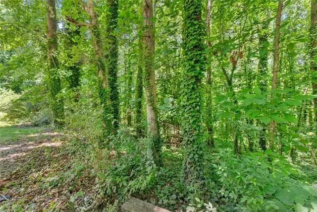 a view of outdoor space and trees