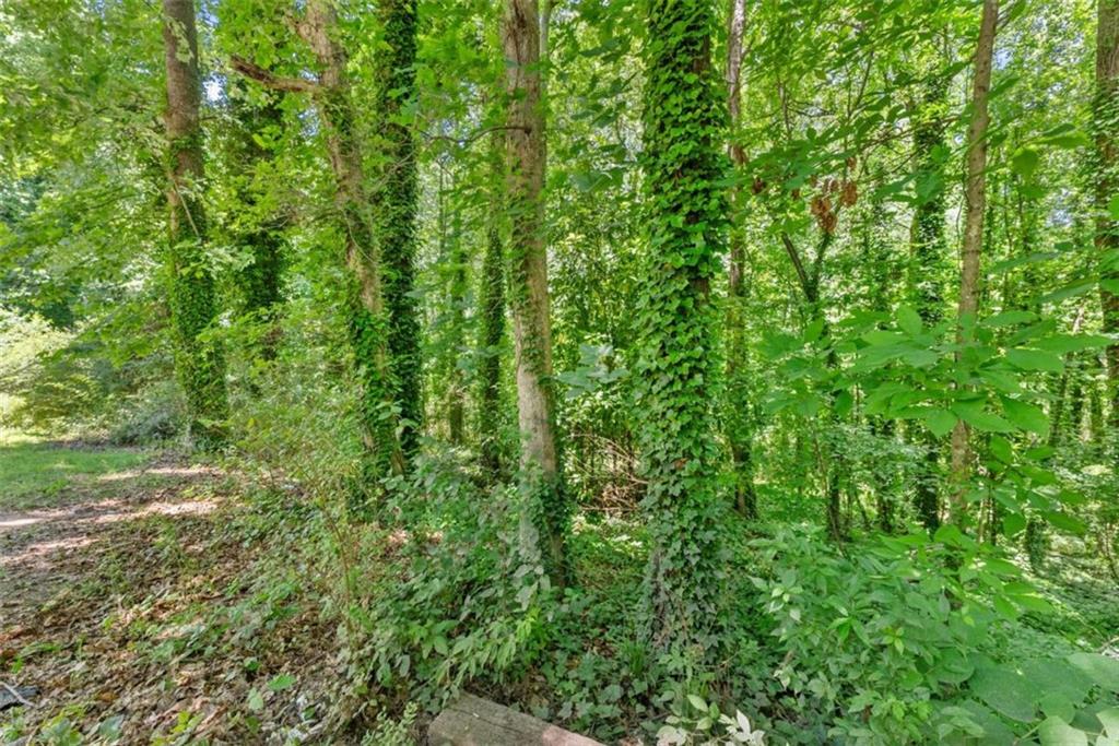 0 Hilton Southwest Drive Gainesville, GA 30501 - Photo 4 of 21