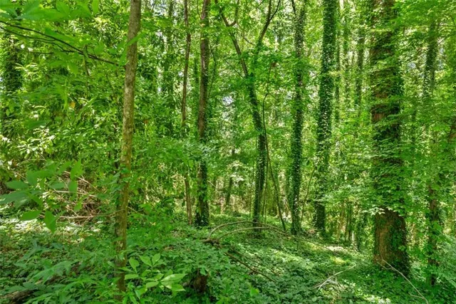 a view of a green field with lots of bushes