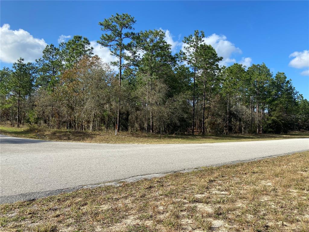 69 Southwest Sw Loop Dunnellon, FL 34432 - Photo 1 of 1 185th Ave Road & 69th Loop