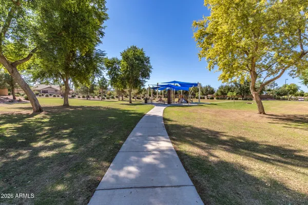 a park with large trees