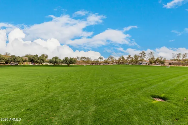 a view of yard with playground and trees