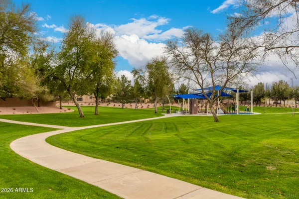 a view of a park with tree s