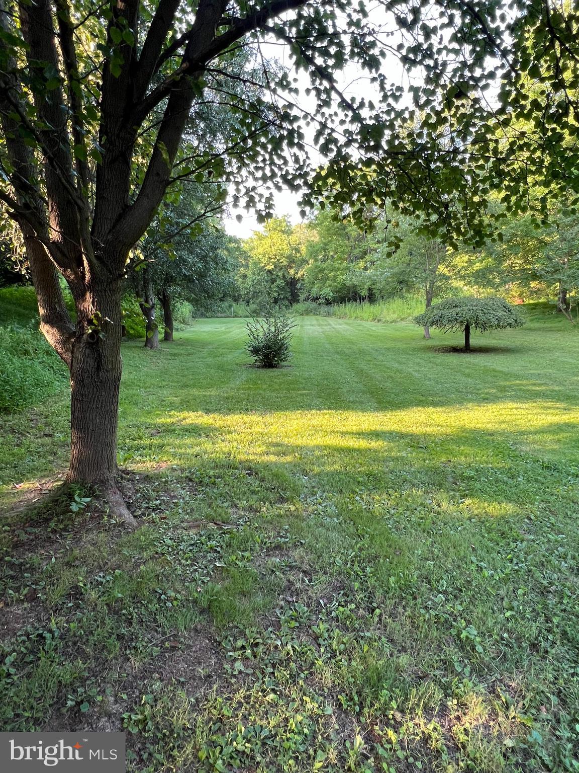 15504 Dellinger Road Williamsport, MD 21795 - Photo 14 of 32 Amazing private yard. Backs up to woods