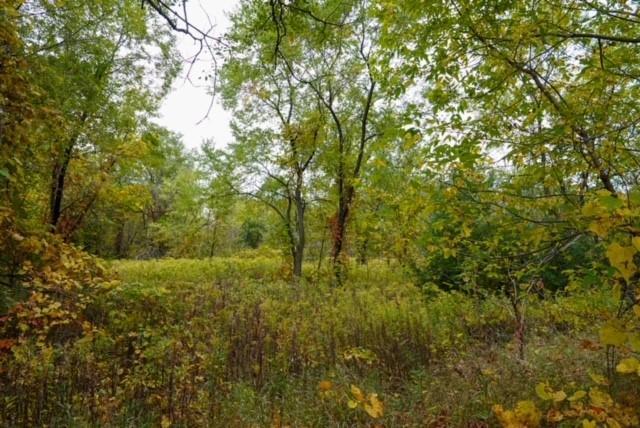 Lot 8 694th Avenue Prescott, WI 54021 - Photo 1 of 1 Gallery Image 1