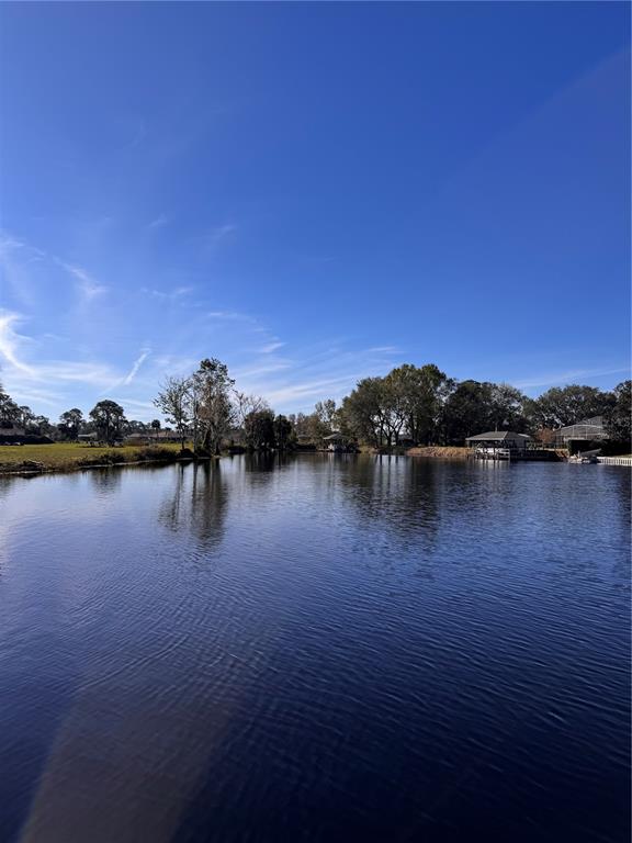 3412 Lake Diane Road Tavares, FL 32778 - Photo 15 of 16
