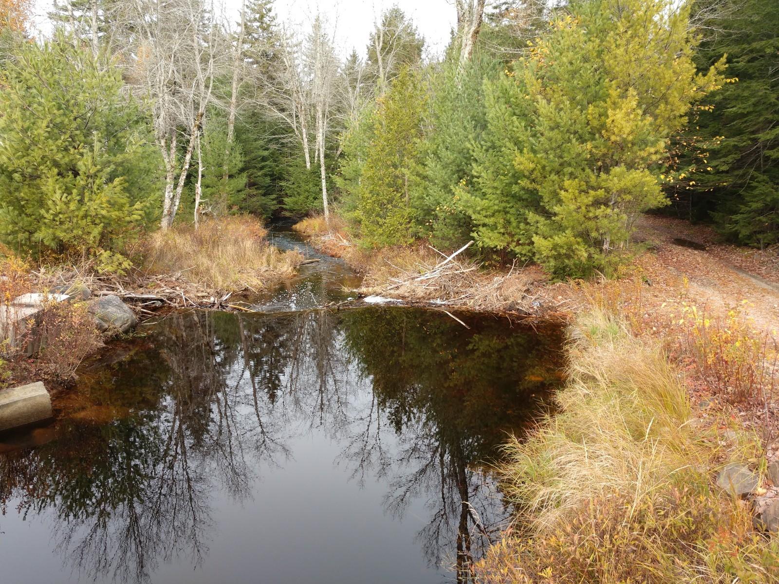 Off-645 Off-645 Howard Lake Road Robbinston, ME 04671 - Photo 2 of 20 IMG_20191025_100729329