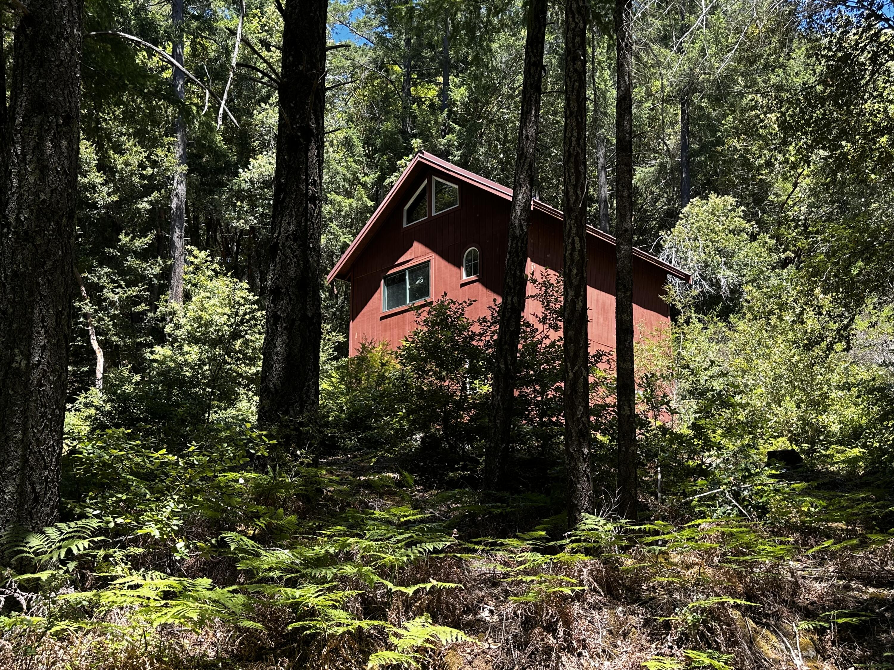 1055 Goodman Ranch Road Garberville, CA 95542 - Photo 45 of 63