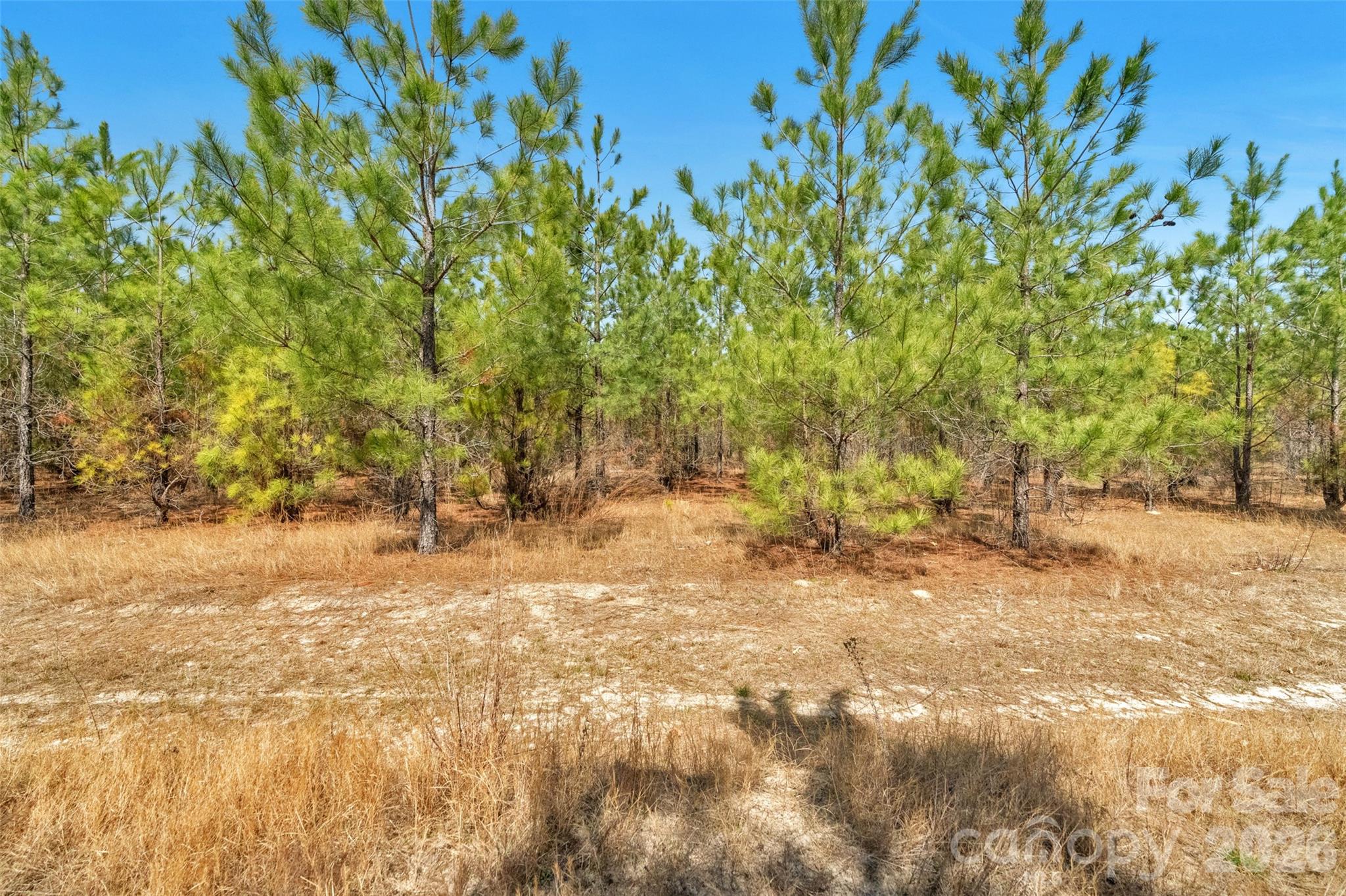 931 Charlie Johnson Road, Unit 2 Kershaw, SC 29067 - Photo 25 of 35